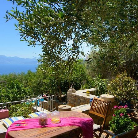 Villa Olga Agios Nikolaos  Exterior photo